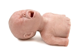 Zdjęcie Symulator dróg oddechowych ( niemowlę )