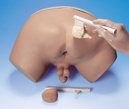 Zdjęcie Symulator do badania prostaty