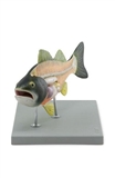 Ryba,model 5-częściowy