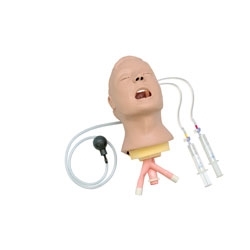 Zdjęcie Głowa do intubacji Advanced Airway Larry