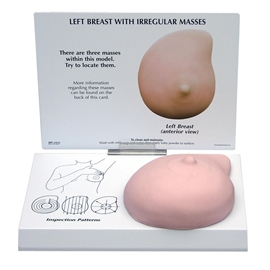 Zdjęcie Model lewej piersi z nieregularnymi masami