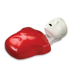 Zdjęcie Fantom Basic Buddy CPR