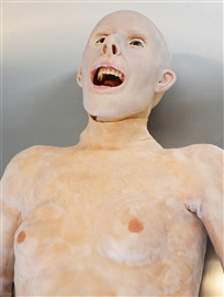 Zdjęcie Model zwłok SynDaver