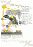 Środowisko geograficzne