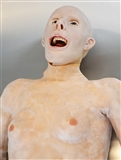 Model zwłok SynDaver