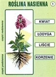 Świat przyrody cz. 1
